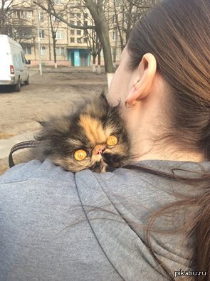 ������ ��� ������ ����� �� ��������!!!