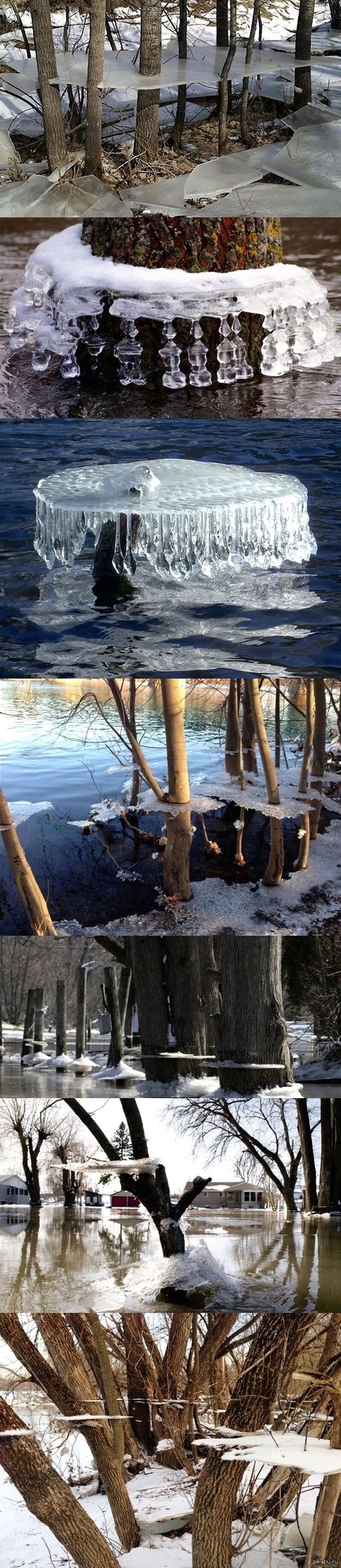 ���� �������