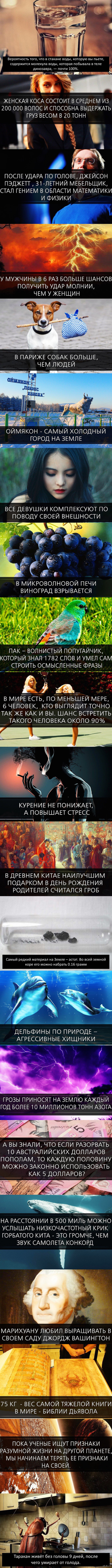 ���������� ����� �3