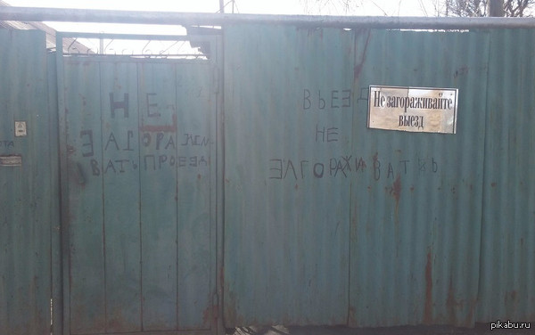 ���� ���������