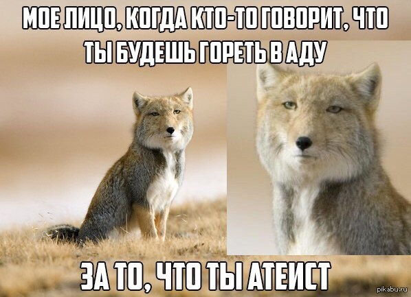 ������� ���������, �� �*�� �������...
