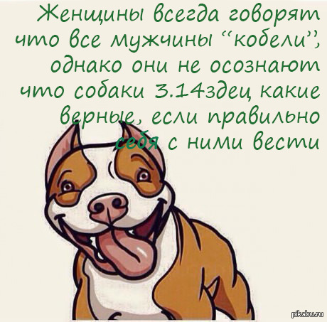 Любимый папочка, прикольные картинки мужики-кобели