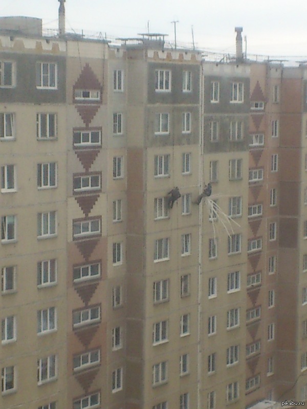 ����������� ����������