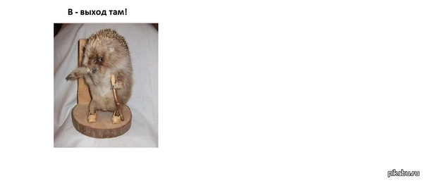 ���� ��� �������