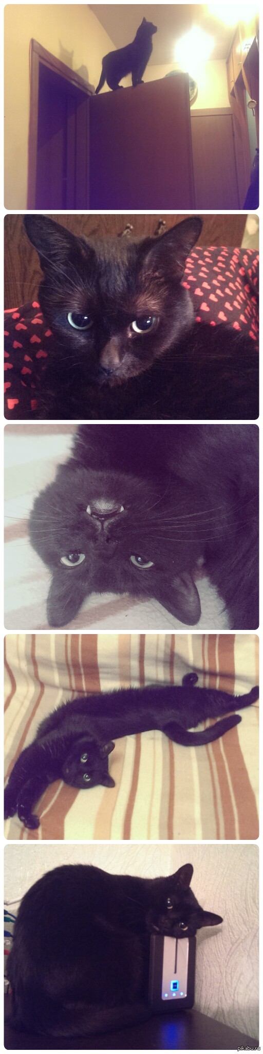 ������ �������!