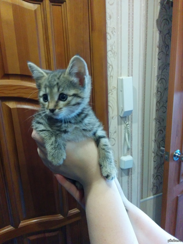 ������, � ���� � ����!