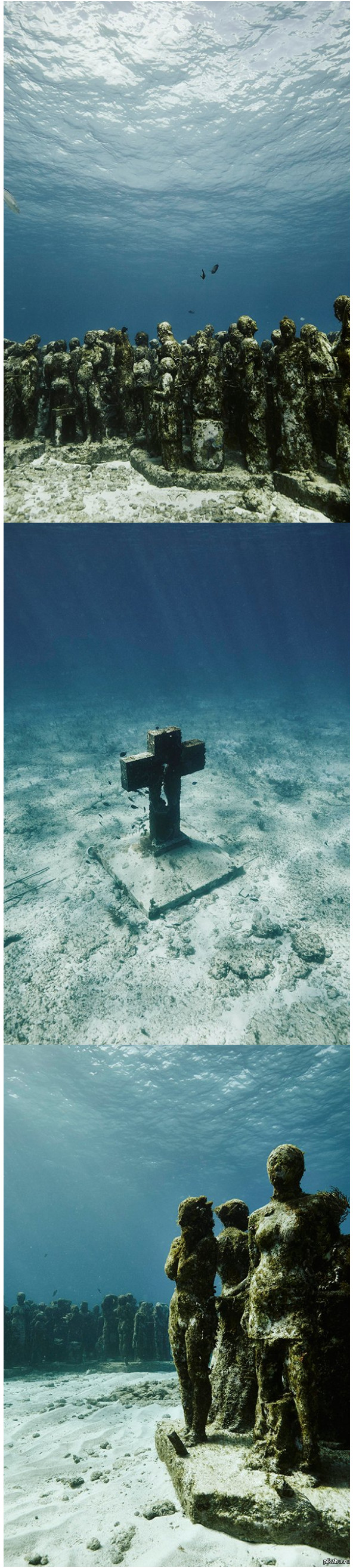 "Это подводный музей со скульптурами" DiosMane