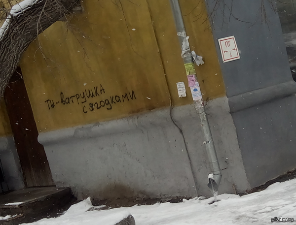 ���������