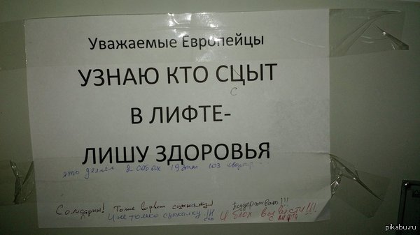 �������� ����