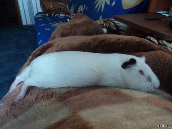 ��� �������� ������ � ���������� �� ������ :3