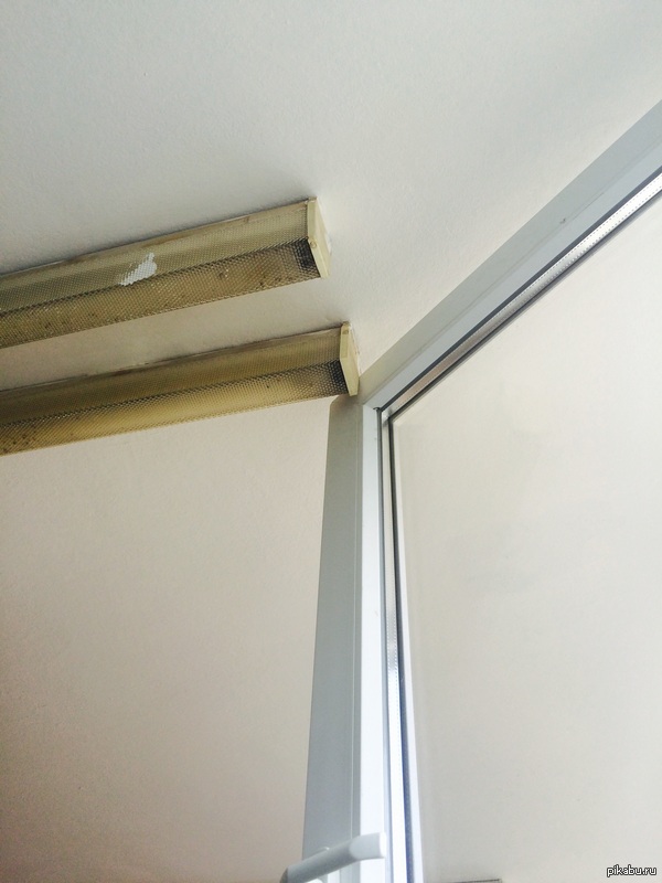 Академия гуманитарных наук