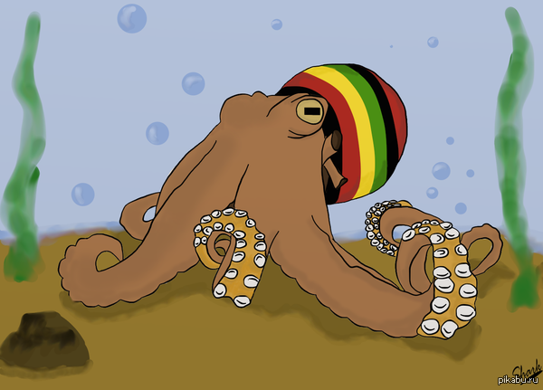 �������� ����