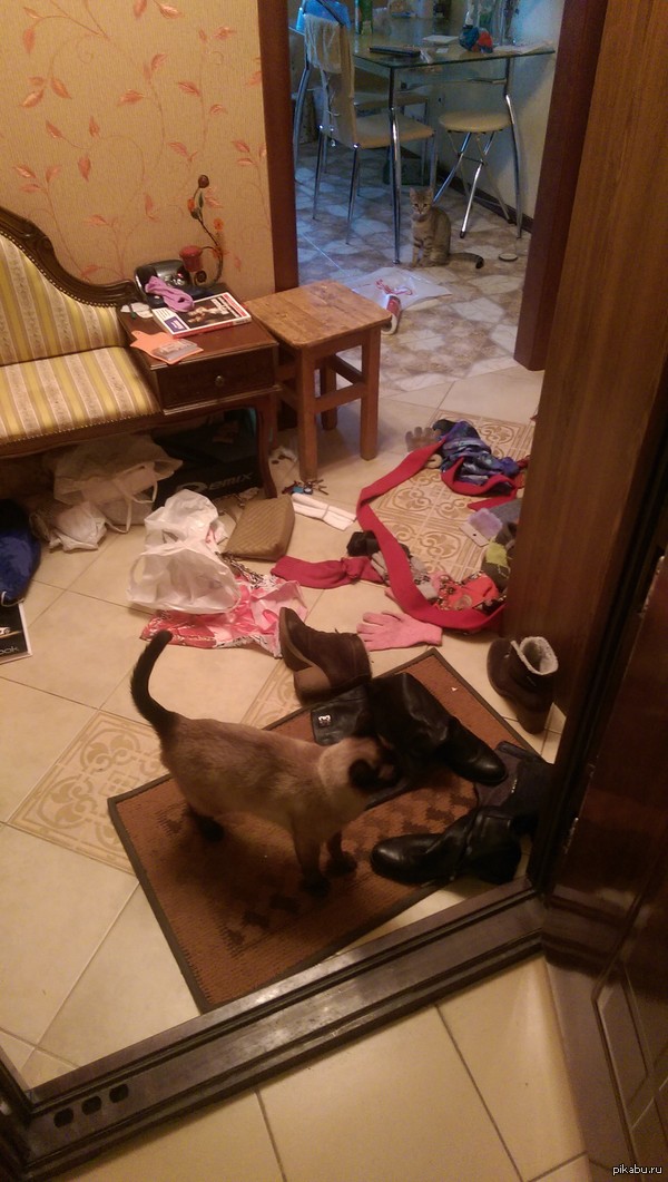 �������� ������ � ������ � �������� ����� ��������� � �������� �����.