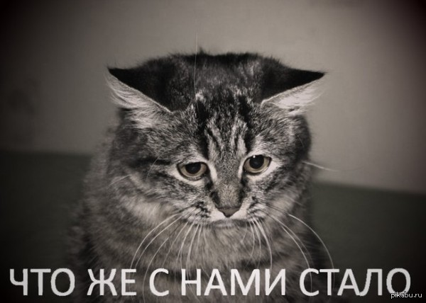 Расстался с девушкой - перестал проматывать кулинарные посты..