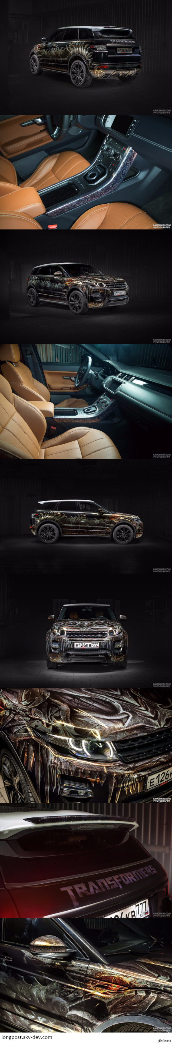 Одна из работ Максима Анучкина.