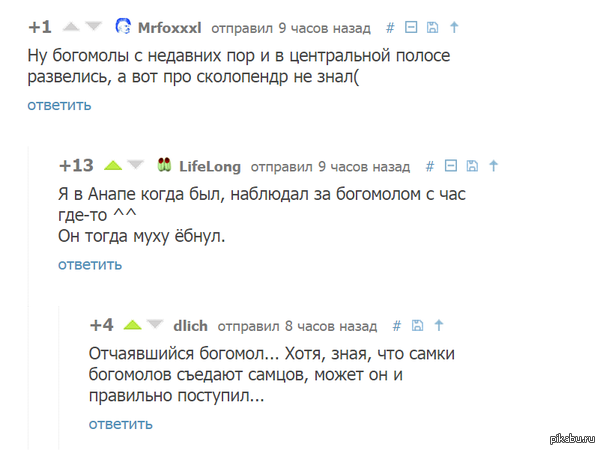    <a href="http://pikabu.ru/story/nochyu_chtoto_pod_bryukhom_zachesalos_3209686#comment_44068411">#comment_44068411</a>