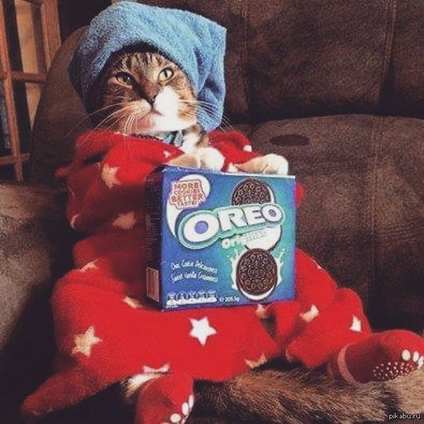 � � �����������