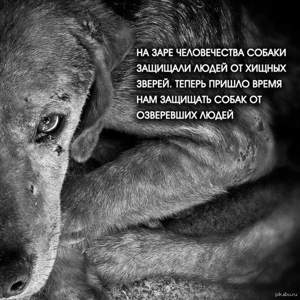 Озверевшие люди