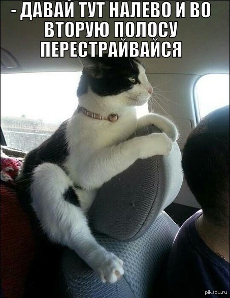   ,    . 