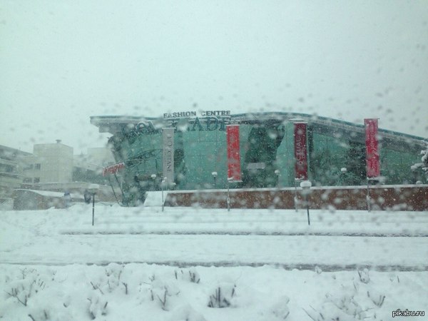 Привет, Весна