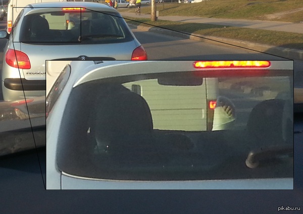 ������� � ������ ���� ������ - ���������� ����������� ���������.