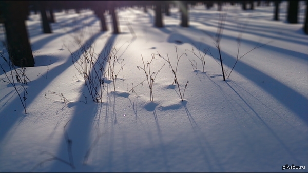 �������� � ����