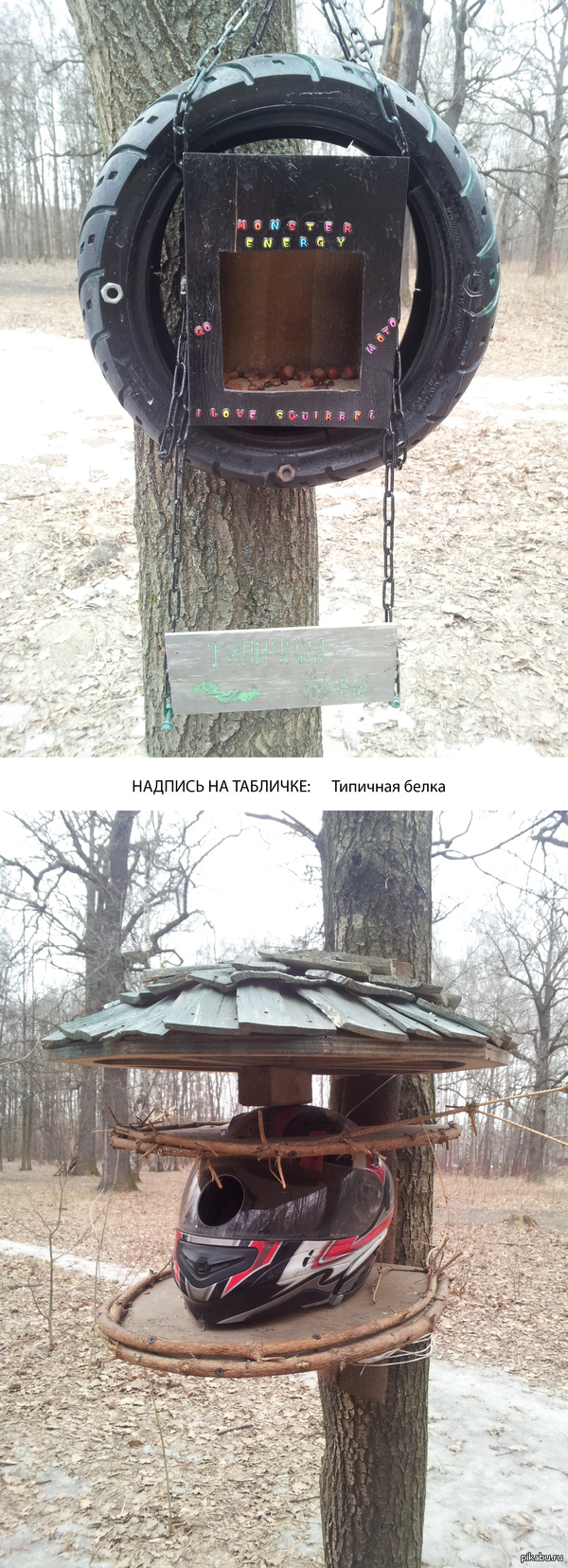 ����-���� ��� �����