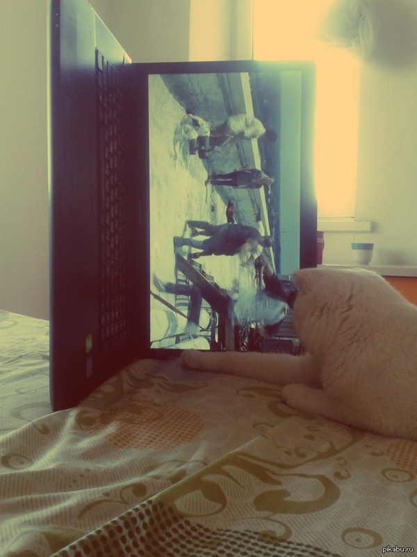 Фильм смотрю