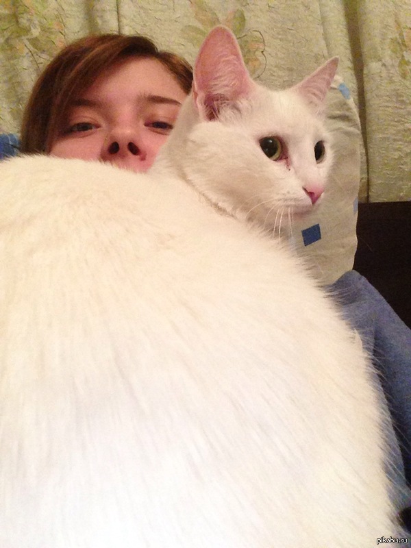 ! !    ,  ,   !    ,    , , , .