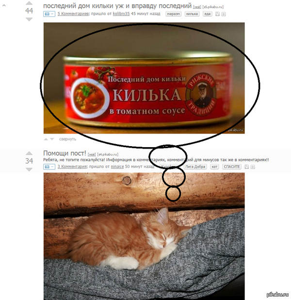 ����. ���� ������� �� ��������.