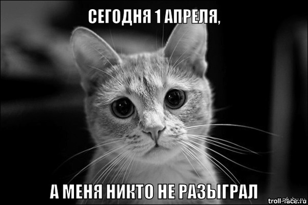 И чего все скучные такие :(