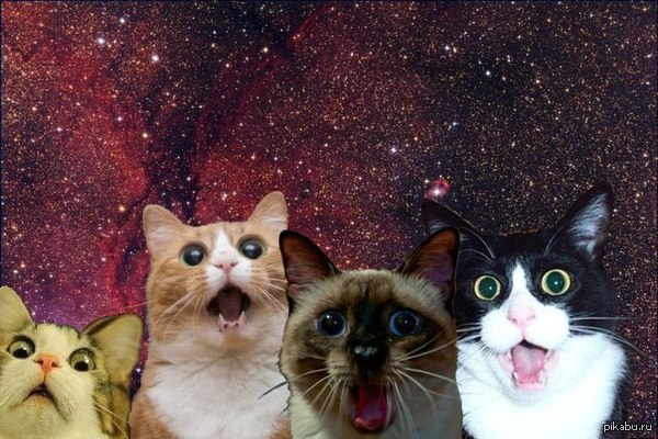 ����� ���� ������, ��� ������ � ���� ���������� �� 700