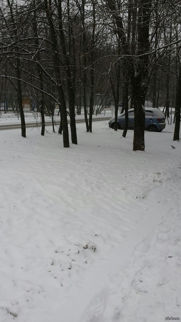 И где твои голуби?