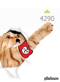 meinе katze
