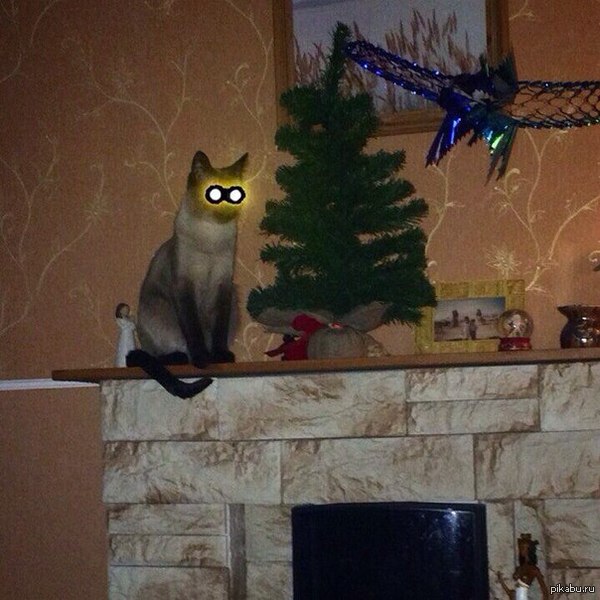 �� ������ ������ ������ ������ ������� ����...