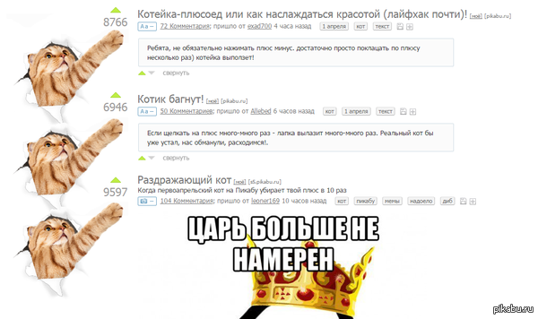 Когда котик совсем устал и баганул. Он решил позвать помощь
