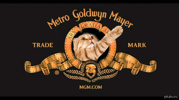 Он бы очень подошел