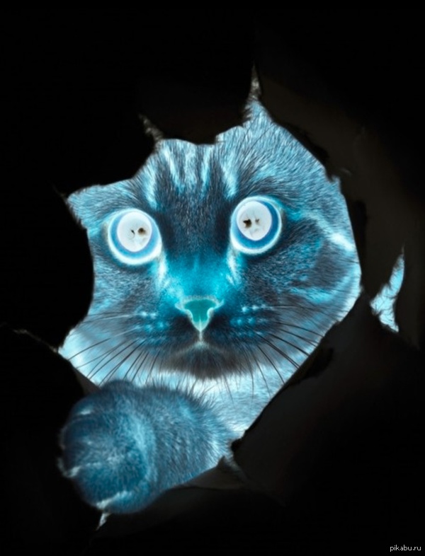 � ������ ������� � ��������� � �����)