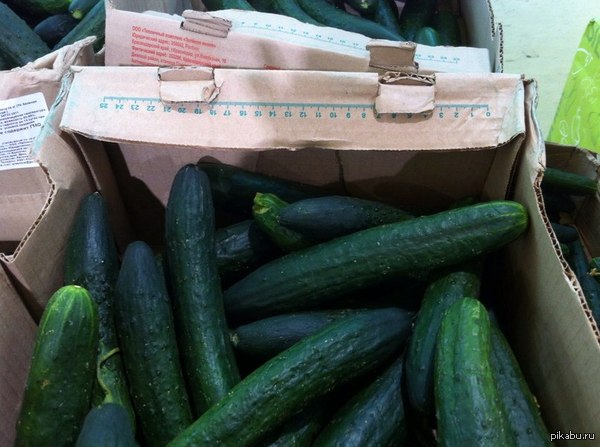 ������ ��������� � ������� ����������� ��������