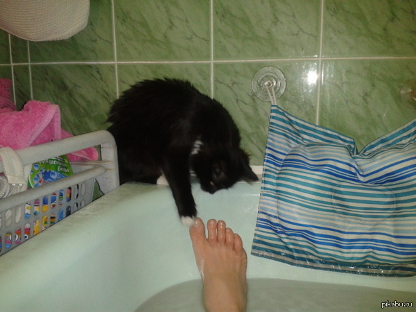 You wanna touch me        ?   :D