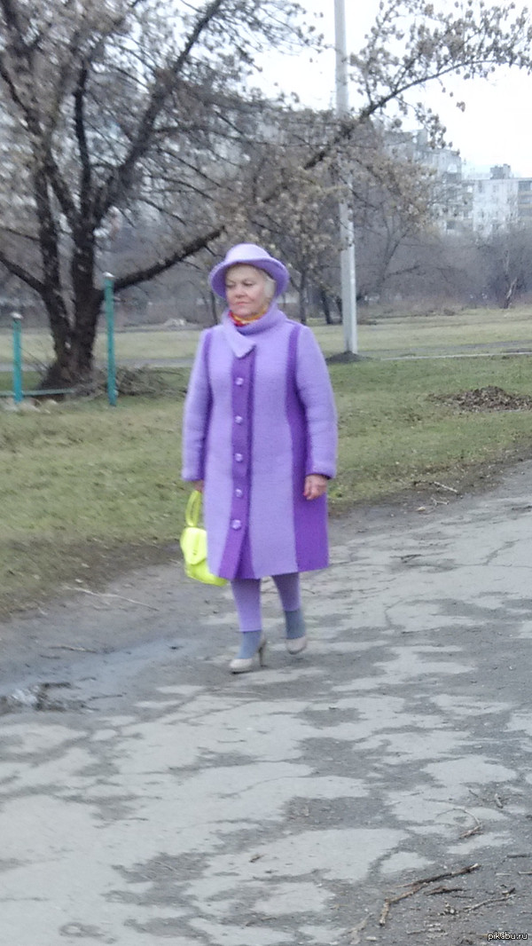 ���� �������