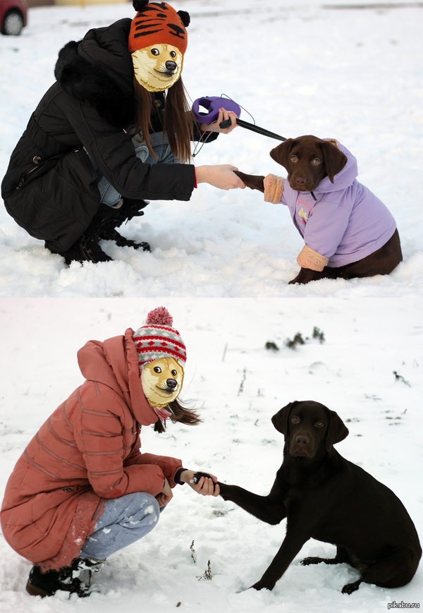 Разница в один год)