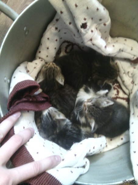 ����� ���� ������!