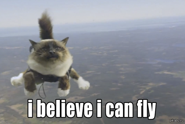I Believe i can fly 