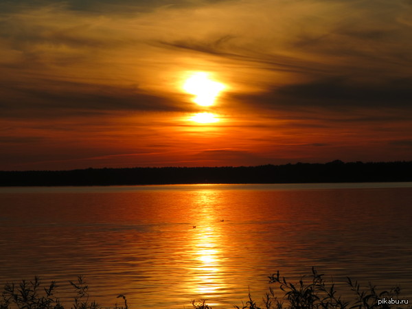 ����� �� �.�����.