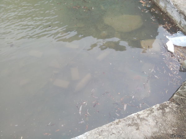 ��������� ����.