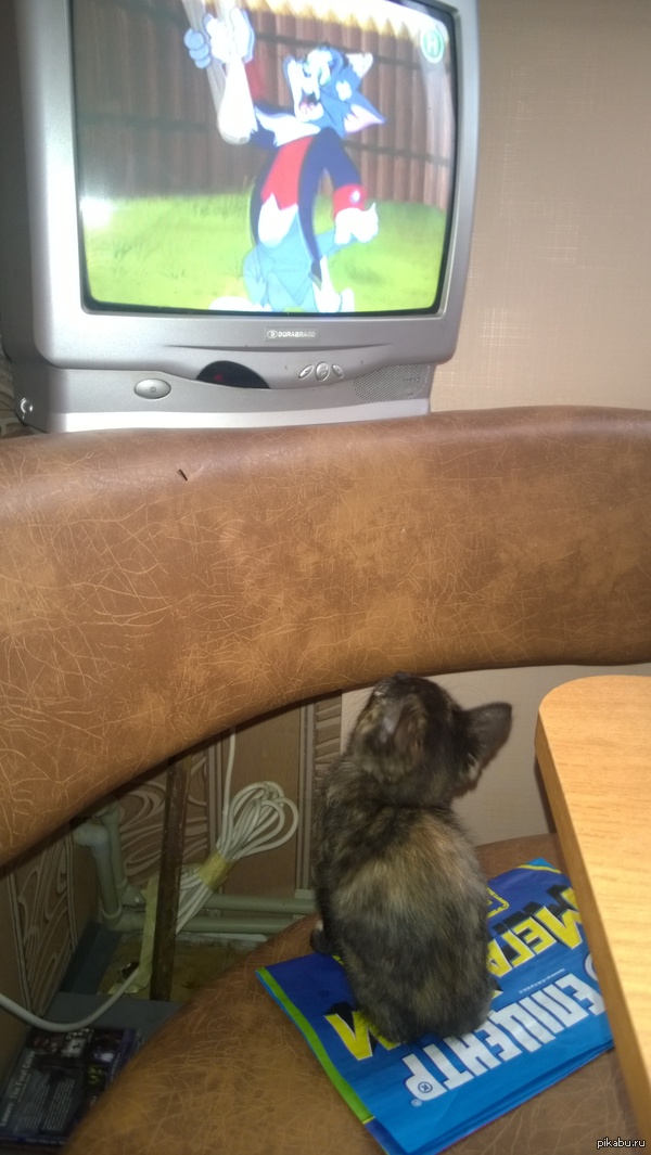 Переживает за Тома