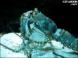&quot;--!!!   ?!!&quot; 