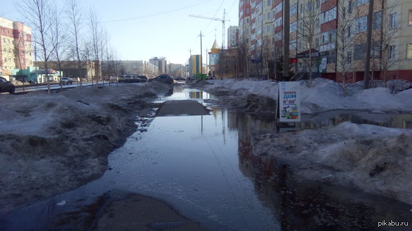 � ��������� �������� ����.