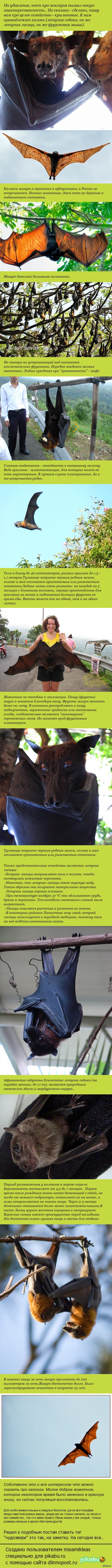 Удивительное из мира природы. Часть 2.